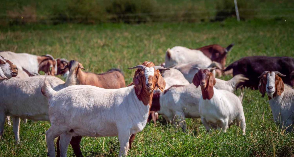 53196839904 e6374ee15f o 1faed4496663449fbc5cb815529698b3