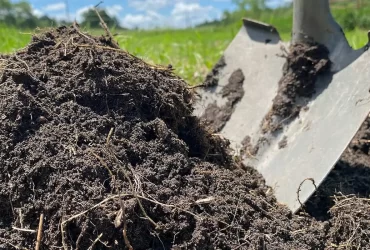 compost 3 compost 3